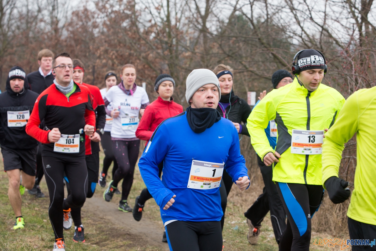 V Wildecka Dziesiątka Foto: lepszyPOZNAN.pl / Piotr Rychter V Wildecka Dziesiątka Foto: lepszyPOZNAN.pl / Piotr Rychter