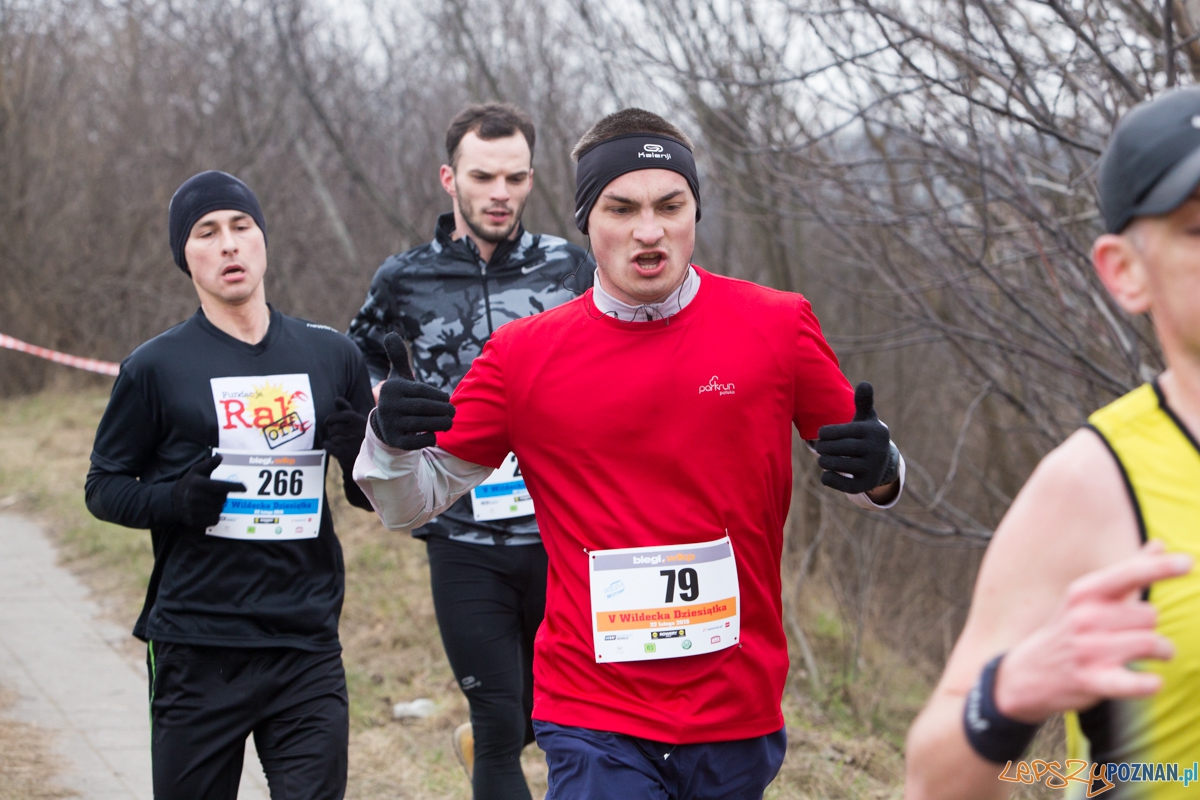 V Wildecka Dziesiątka Foto: lepszyPOZNAN.pl / Piotr Rychter V Wildecka Dziesiątka Foto: lepszyPOZNAN.pl / Piotr Rychter