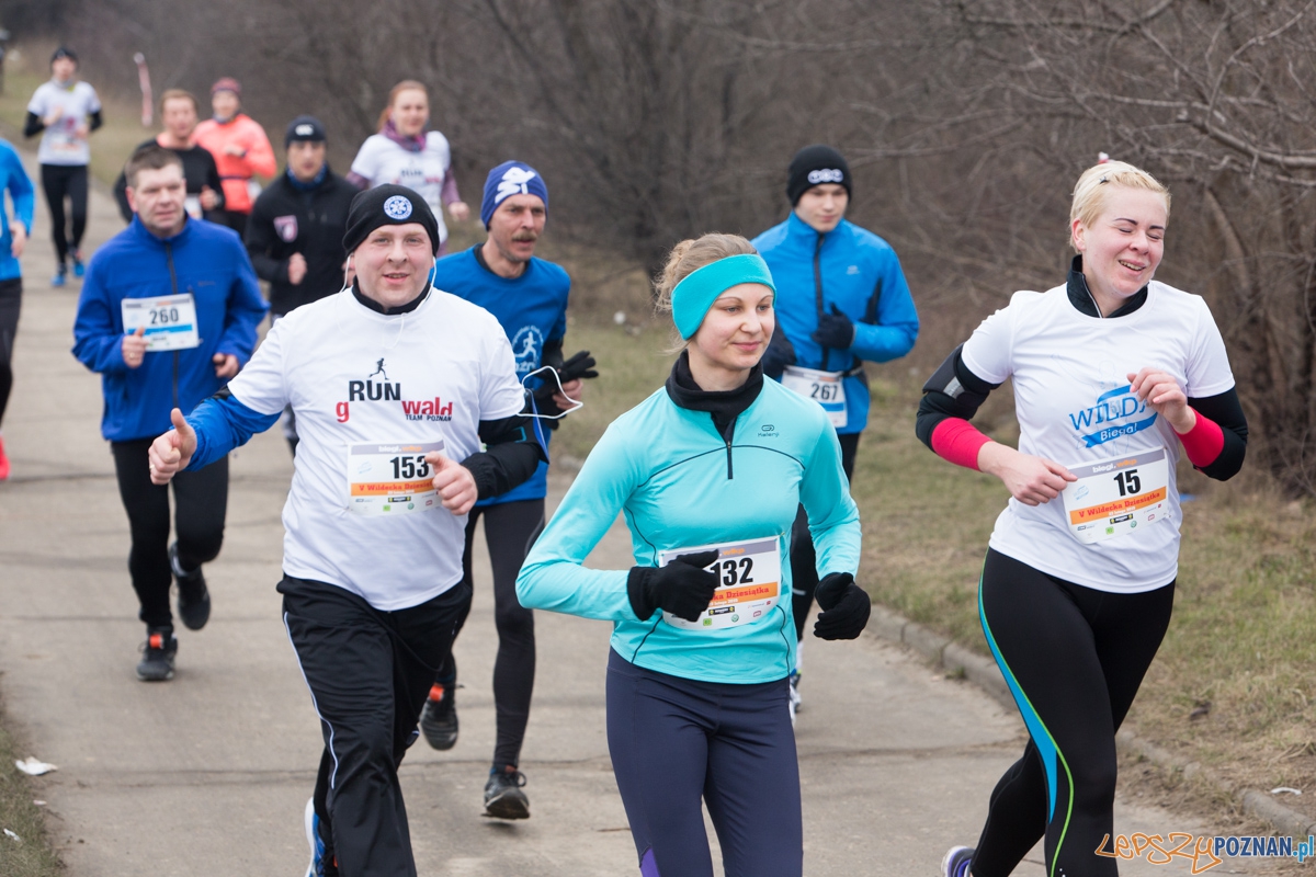 V Wildecka Dziesiątka Foto: lepszyPOZNAN.pl / Piotr Rychter V Wildecka Dziesiątka Foto: lepszyPOZNAN.pl / Piotr Rychter