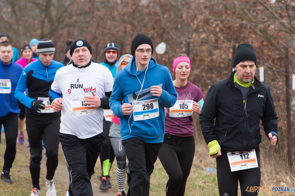 V Wildecka Dziesiątka Foto: lepszyPOZNAN.pl / Piotr Rychter V Wildecka Dziesiątka Foto: lepszyPOZNAN.pl / Piotr Rychter