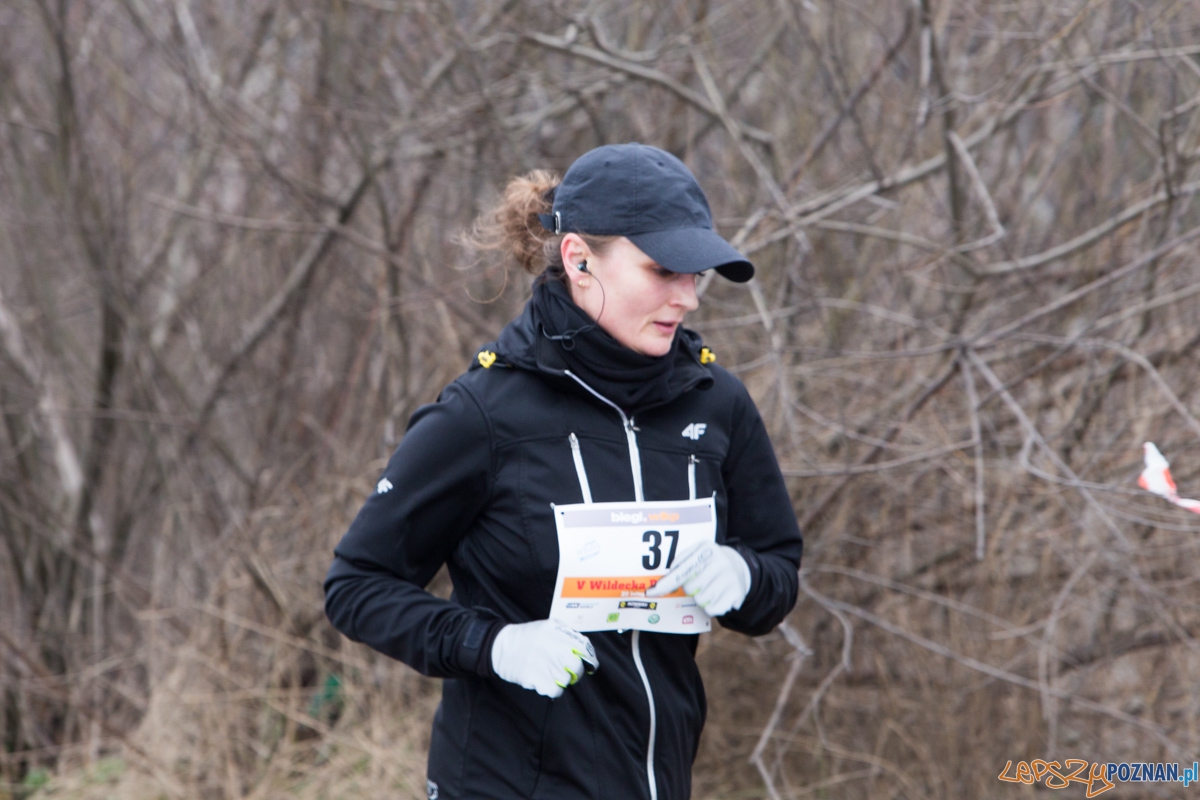 V Wildecka Dziesiątka Foto: lepszyPOZNAN.pl / Piotr Rychter V Wildecka Dziesiątka Foto: lepszyPOZNAN.pl / Piotr Rychter