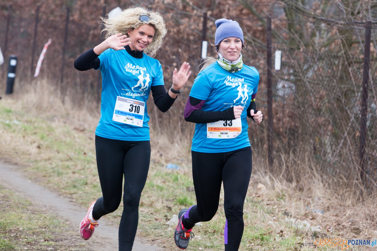 V Wildecka Dziesiątka Foto: lepszyPOZNAN.pl / Piotr Rychter V Wildecka Dziesiątka Foto: lepszyPOZNAN.pl / Piotr Rychter