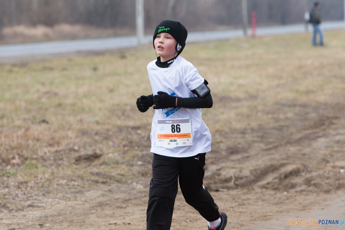 V Wildecka Dziesiątka Foto: lepszyPOZNAN.pl / Piotr Rychter V Wildecka Dziesiątka Foto: lepszyPOZNAN.pl / Piotr Rychter