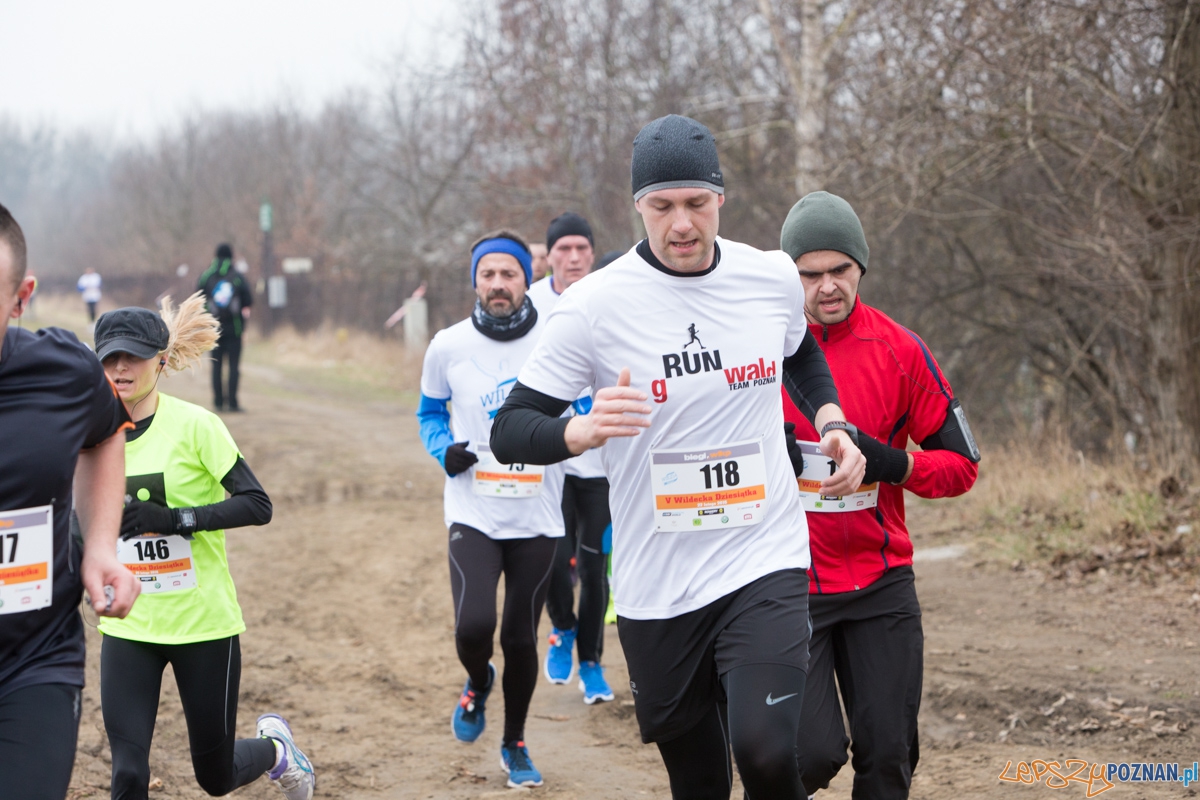V Wildecka Dziesiątka Foto: lepszyPOZNAN.pl / Piotr Rychter V Wildecka Dziesiątka Foto: lepszyPOZNAN.pl / Piotr Rychter
