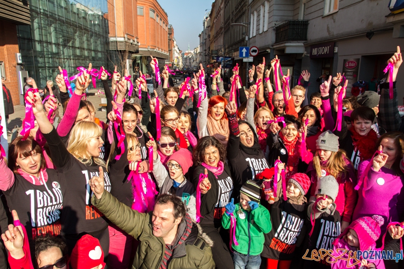 One Billion Rising – Nazywam się Miliard - Poznan 14.02.2015 r. Foto: LepszyPOZNAN.pl / Paweł Rychter One Billion Rising – Nazywam się Miliard - Poznan 14.02.2015 r. Foto: LepszyPOZNAN.pl / Paweł Rychter