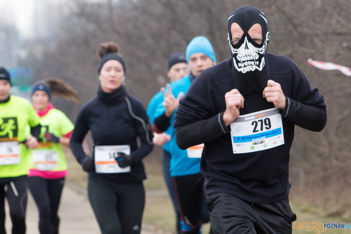 V Wildecka Dziesiątka Foto: lepszyPOZNAN.pl / Piotr Rychter V Wildecka Dziesiątka Foto: lepszyPOZNAN.pl / Piotr Rychter