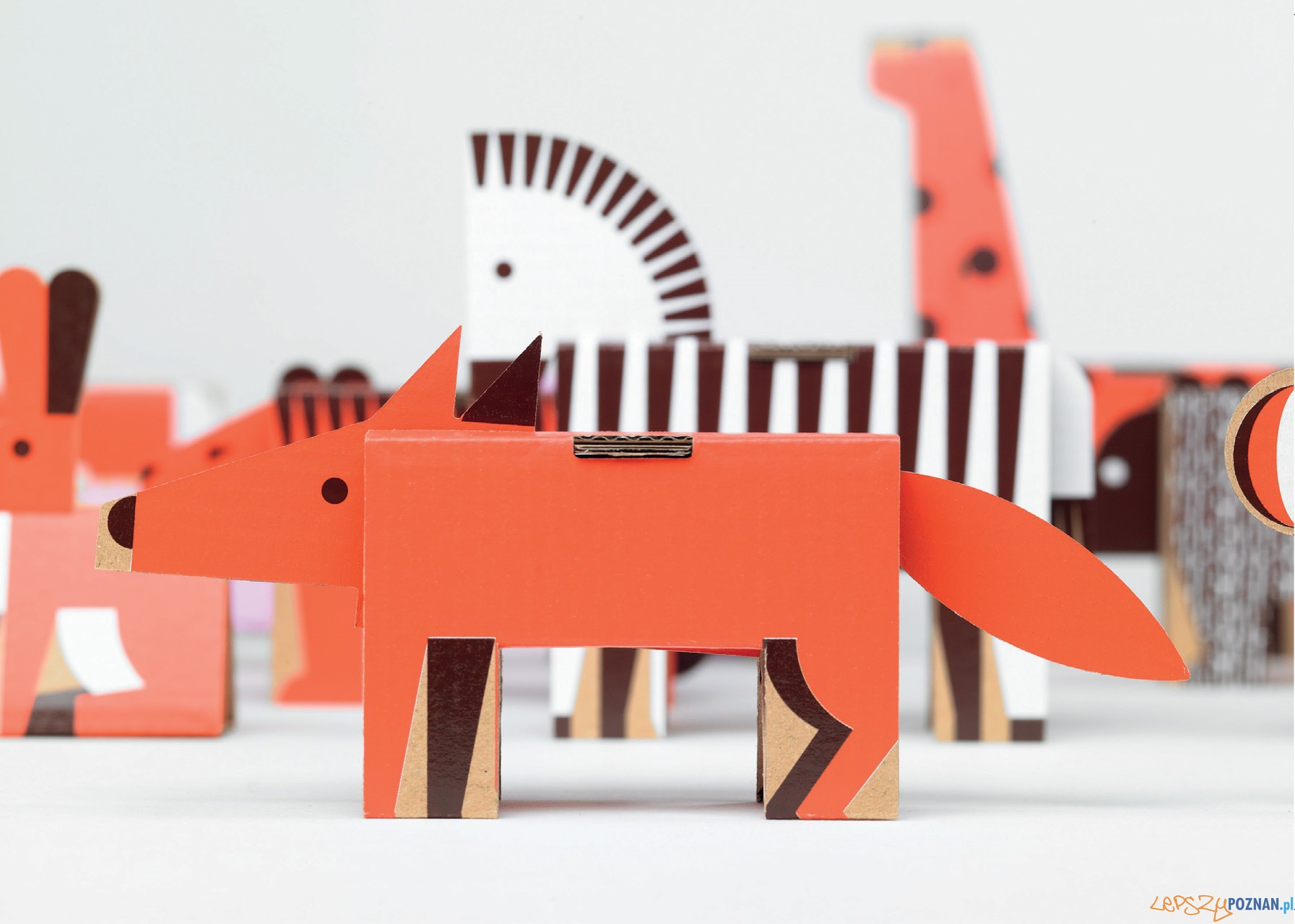 Polish Design3 Foto: Polish Design3 Foto: