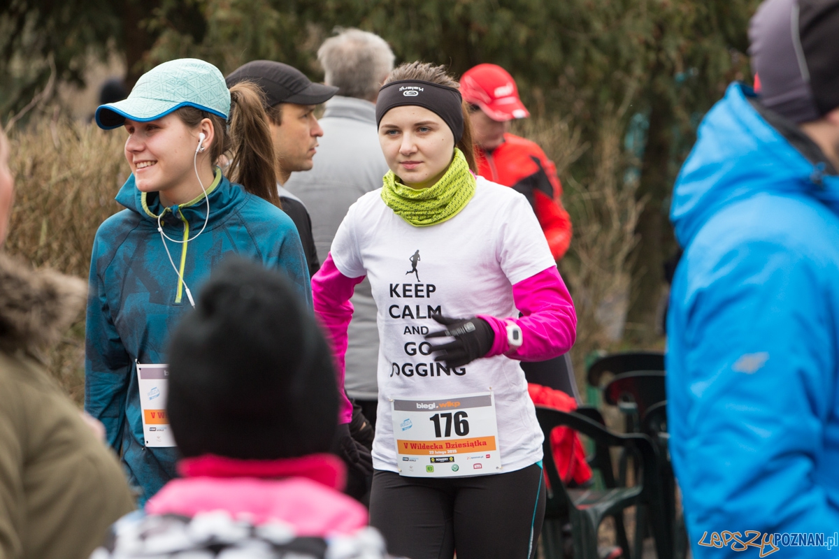 V Wildecka Dziesiątka Foto: lepszyPOZNAN.pl / Piotr Rychter V Wildecka Dziesiątka Foto: lepszyPOZNAN.pl / Piotr Rychter