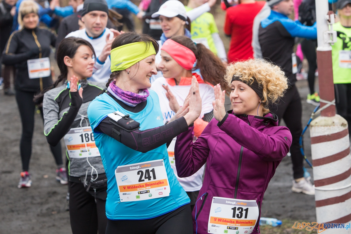 V Wildecka Dziesiątka Foto: lepszyPOZNAN.pl / Piotr Rychter V Wildecka Dziesiątka Foto: lepszyPOZNAN.pl / Piotr Rychter