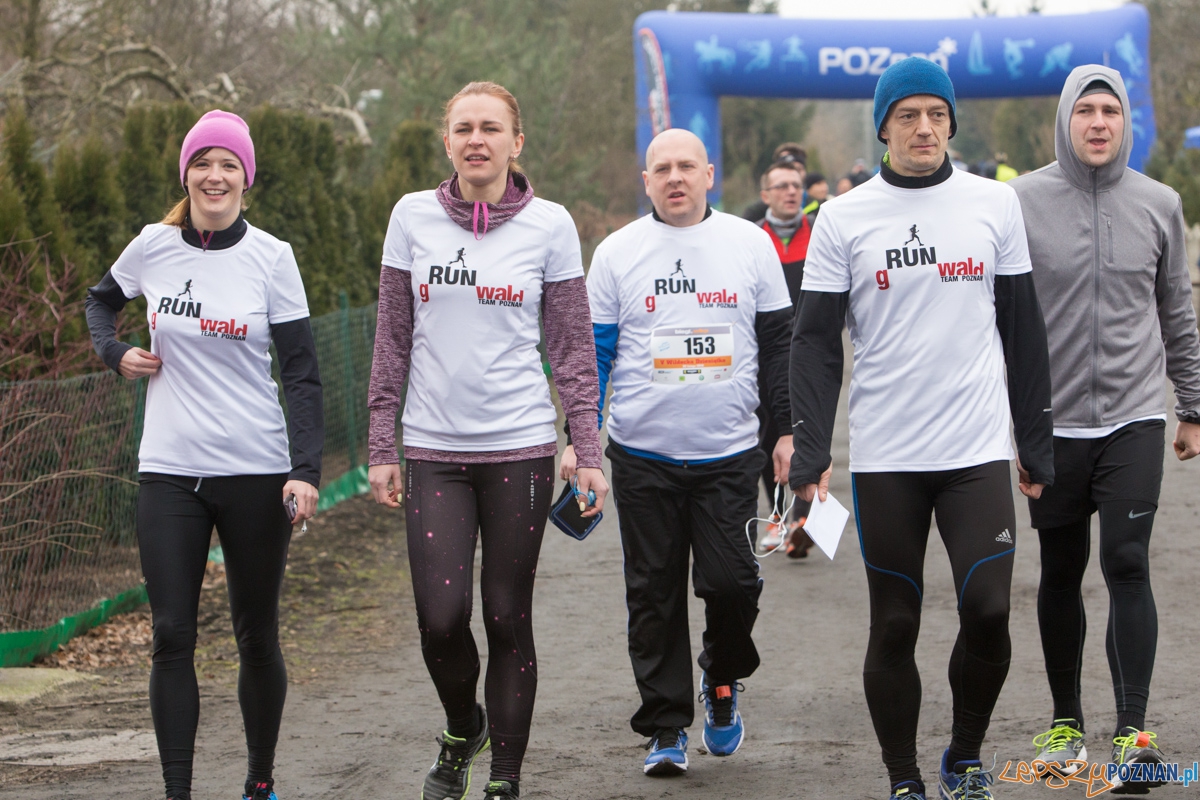 V Wildecka Dziesiątka Foto: lepszyPOZNAN.pl / Piotr Rychter V Wildecka Dziesiątka Foto: lepszyPOZNAN.pl / Piotr Rychter