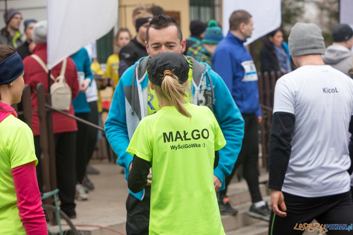 V Wildecka Dziesiątka Foto: lepszyPOZNAN.pl / Piotr Rychter V Wildecka Dziesiątka Foto: lepszyPOZNAN.pl / Piotr Rychter