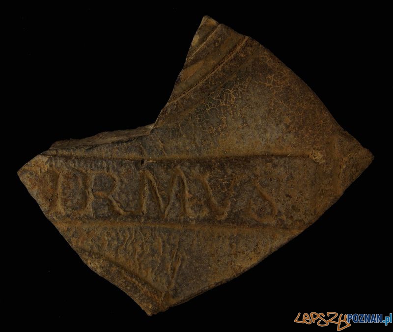 Fragment terra sigillata - Konin, okres rzymski Foto: Muzeum Archeologiczne w Poznaniu Fragment terra sigillata - Konin, okres rzymski Foto: Muzeum Archeologiczne w Poznaniu