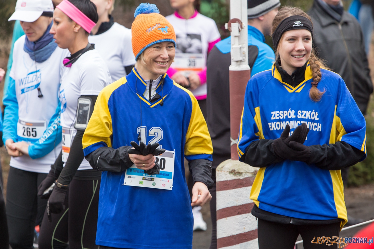V Wildecka Dziesiątka Foto: lepszyPOZNAN.pl / Piotr Rychter V Wildecka Dziesiątka Foto: lepszyPOZNAN.pl / Piotr Rychter