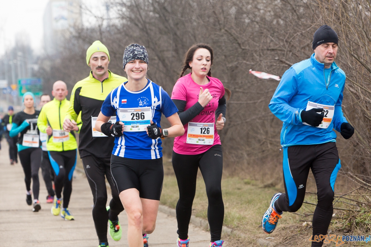 V Wildecka Dziesiątka Foto: lepszyPOZNAN.pl / Piotr Rychter V Wildecka Dziesiątka Foto: lepszyPOZNAN.pl / Piotr Rychter