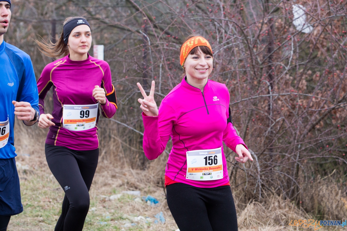 V Wildecka Dziesiątka Foto: lepszyPOZNAN.pl / Piotr Rychter V Wildecka Dziesiątka Foto: lepszyPOZNAN.pl / Piotr Rychter