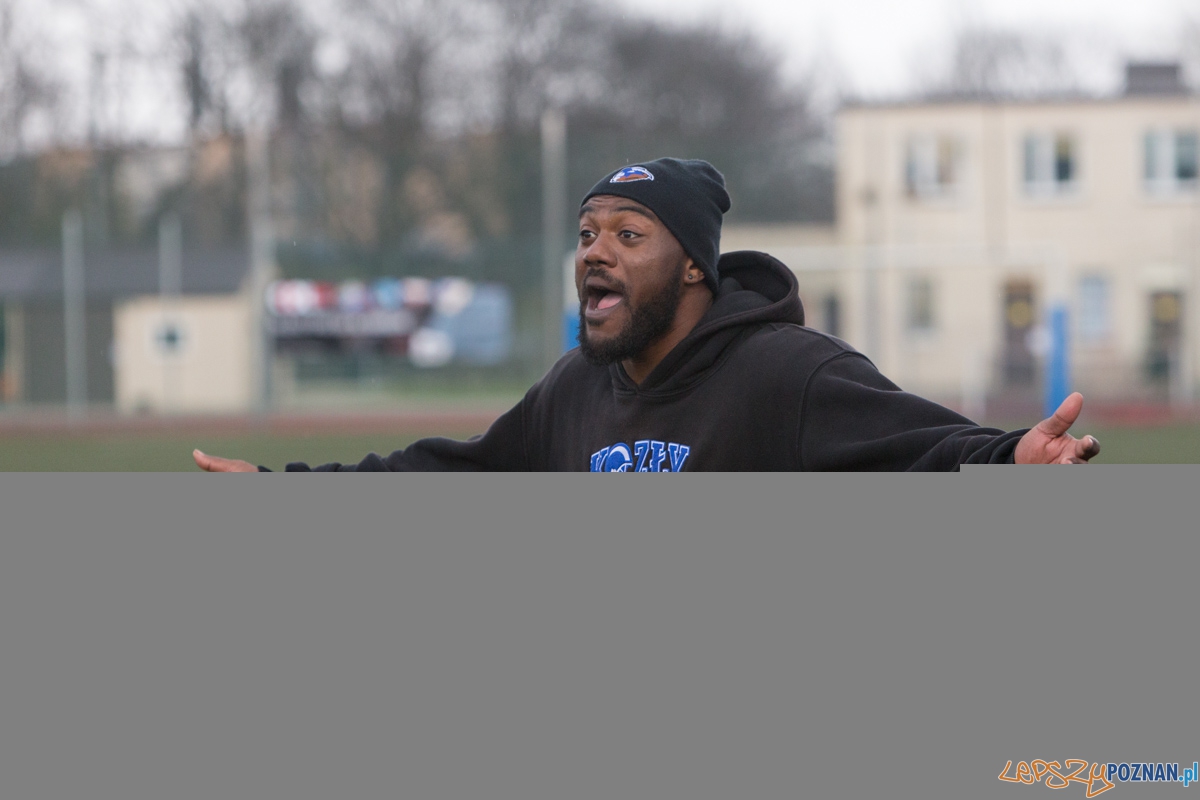 Kozły Poznań - Panthers Wrocław Foto: lepszyPOZNAN.pl / Piotr Rychter Kozły Poznań - Panthers Wrocław Foto: lepszyPOZNAN.pl / Piotr Rychter