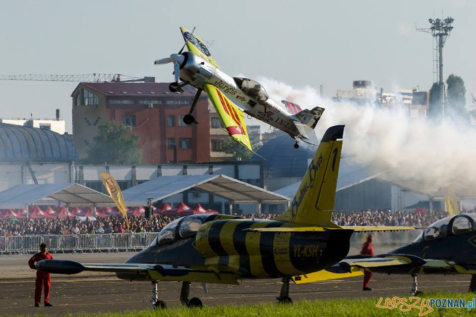 Baltic Bees  Foto: Bamst/facebook