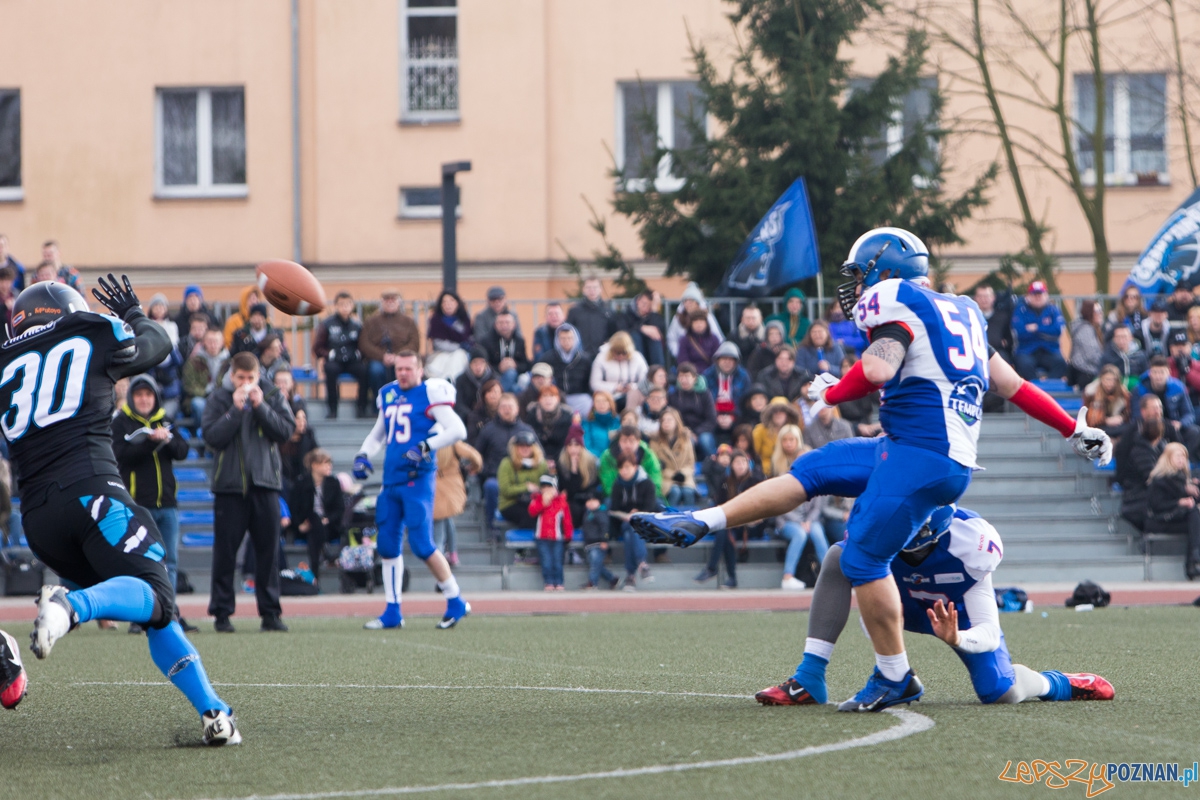 Kozły Poznań - Panthers Wrocław Foto: lepszyPOZNAN.pl / Piotr Rychter Kozły Poznań - Panthers Wrocław Foto: lepszyPOZNAN.pl / Piotr Rychter