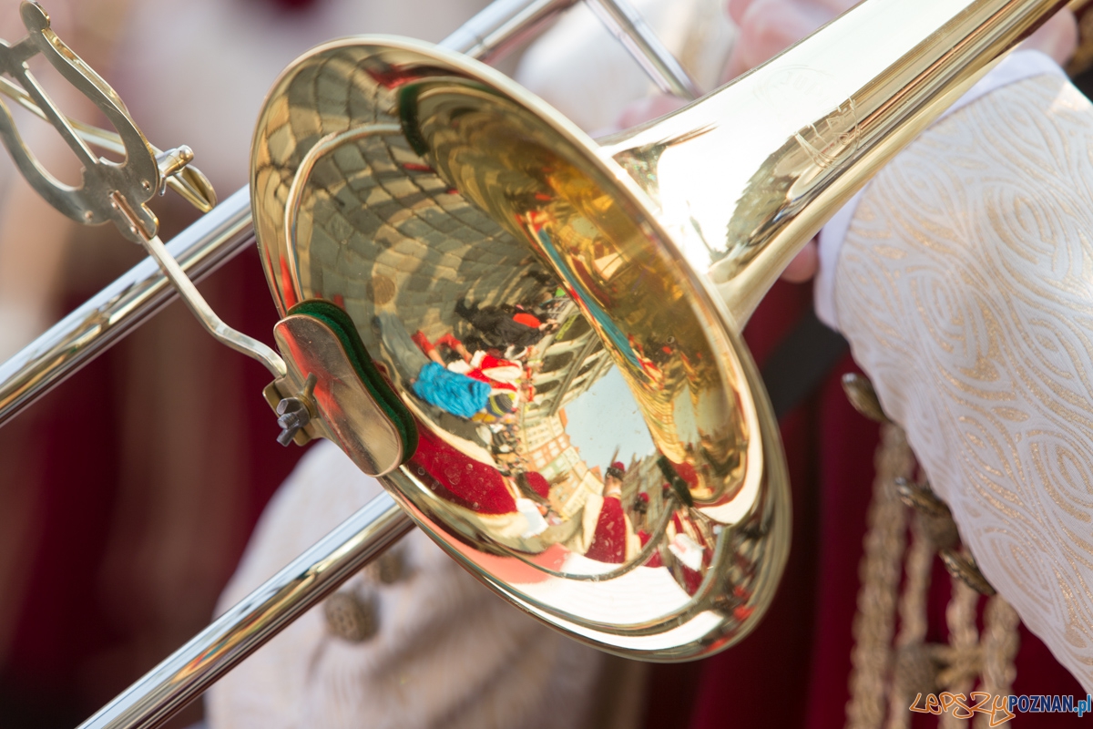 Dzień Motyli Foto: lepszyPOZNAN.pl / Piotr Rychter Dzień Motyli Foto: lepszyPOZNAN.pl / Piotr Rychter