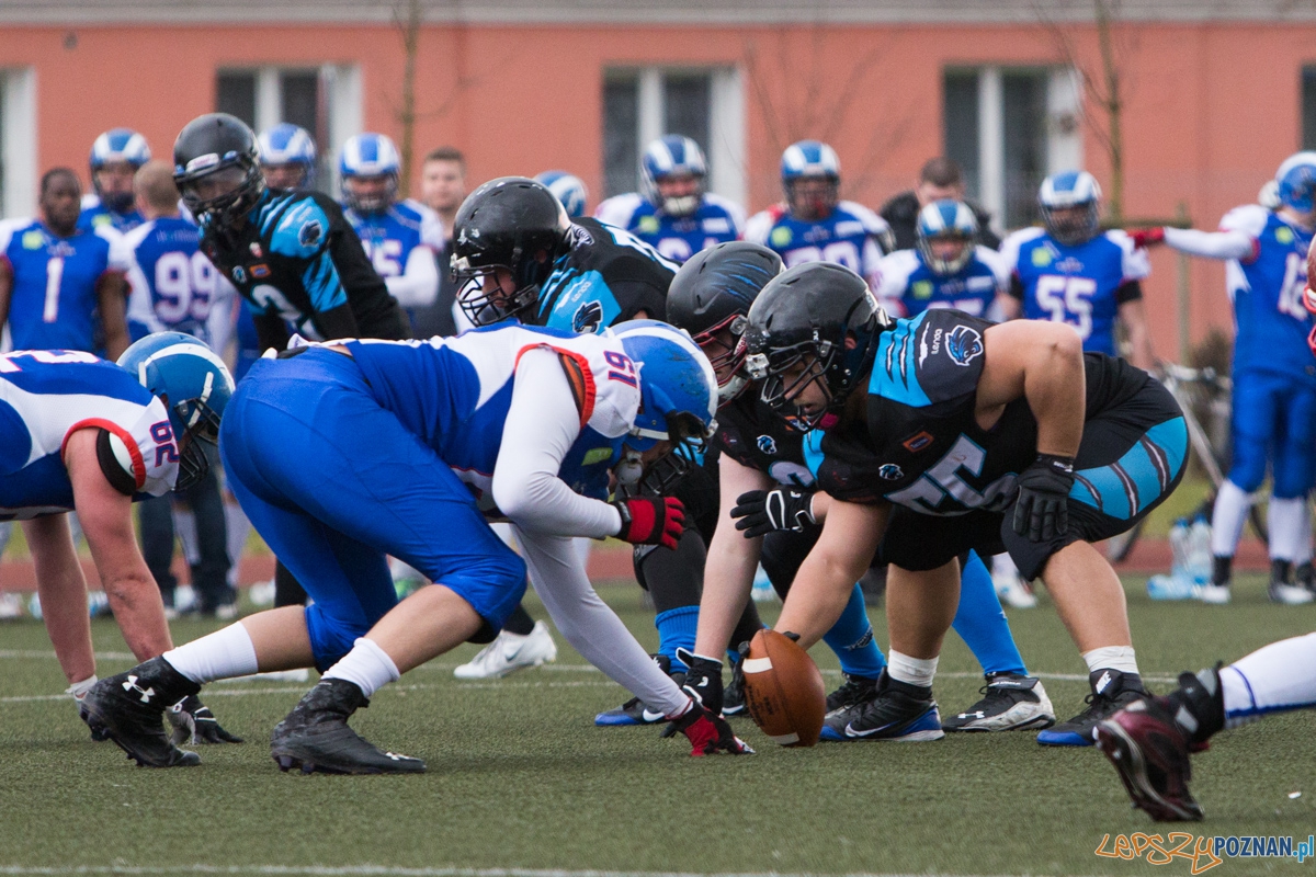 Kozły Poznań - Panthers Wrocław Foto: lepszyPOZNAN.pl / Piotr Rychter Kozły Poznań - Panthers Wrocław Foto: lepszyPOZNAN.pl / Piotr Rychter