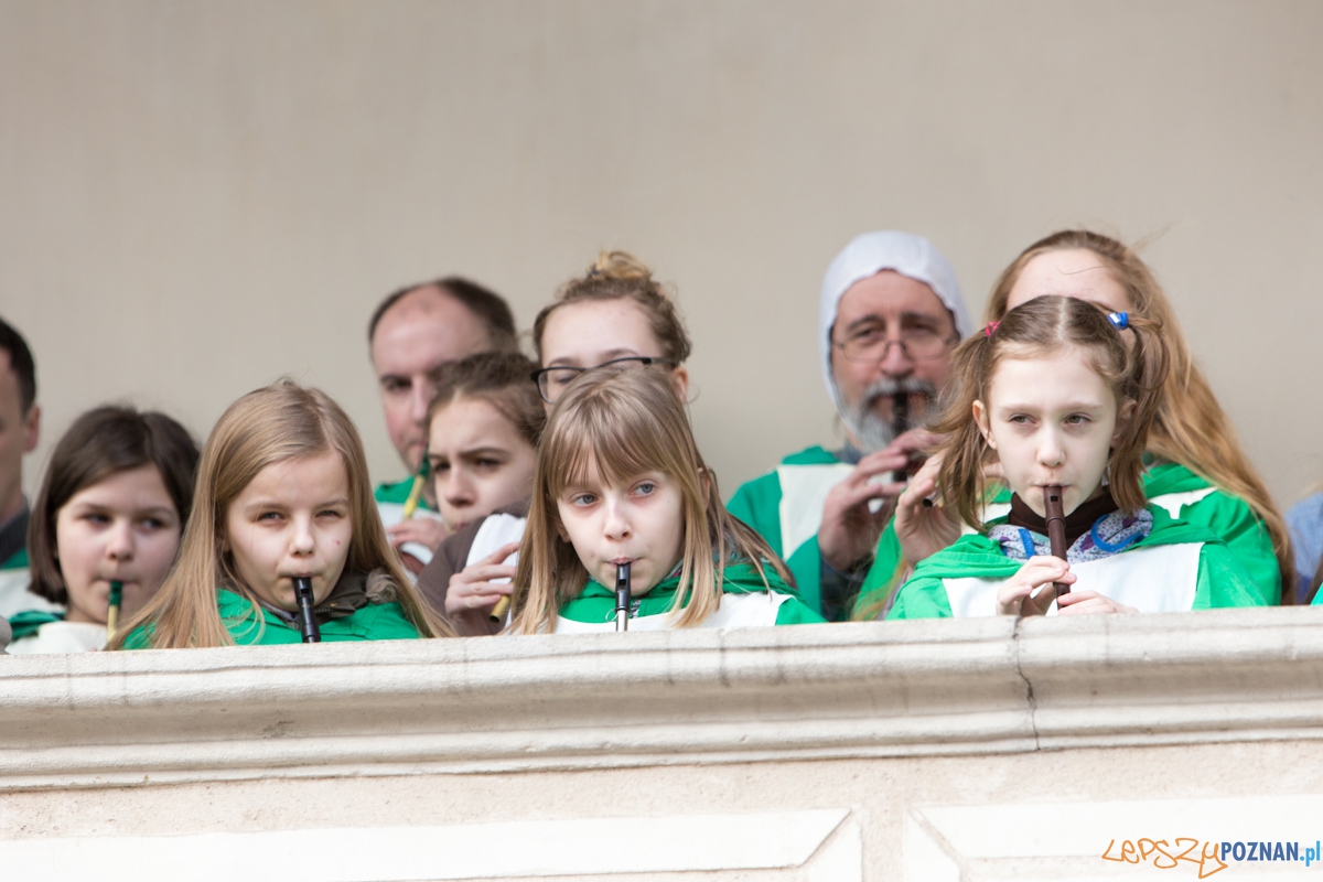 XXII Poznański Kaziuk Foto: lepszyPOZNAN.pl / Piotr Rychter XXII Poznański Kaziuk Foto: lepszyPOZNAN.pl / Piotr Rychter