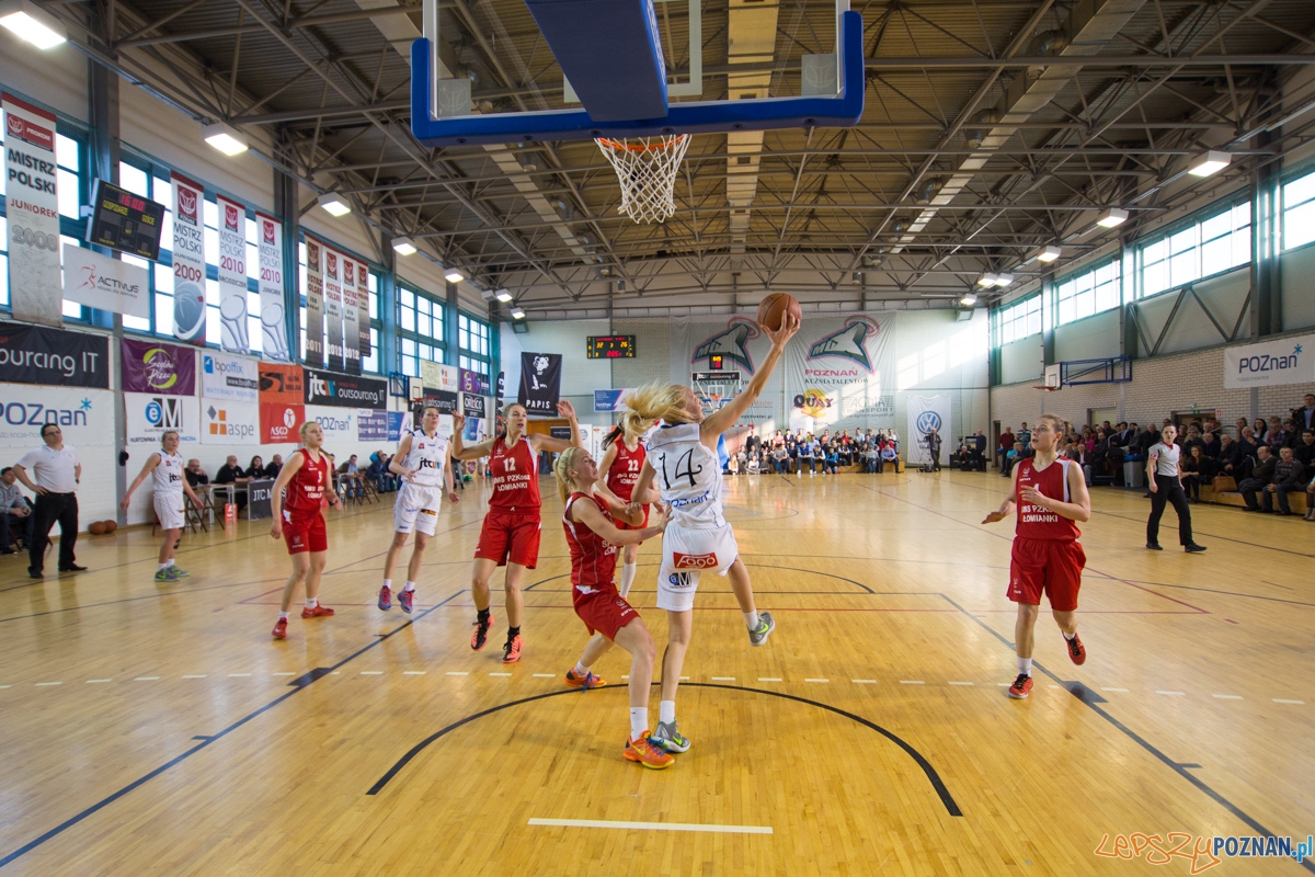 JTC Muks Poznań - SMS PZKosz Łomianki Foto: lepszyPOZNAN.pl / Piotr Rychter JTC Muks Poznań - SMS PZKosz Łomianki Foto: lepszyPOZNAN.pl / Piotr Rychter