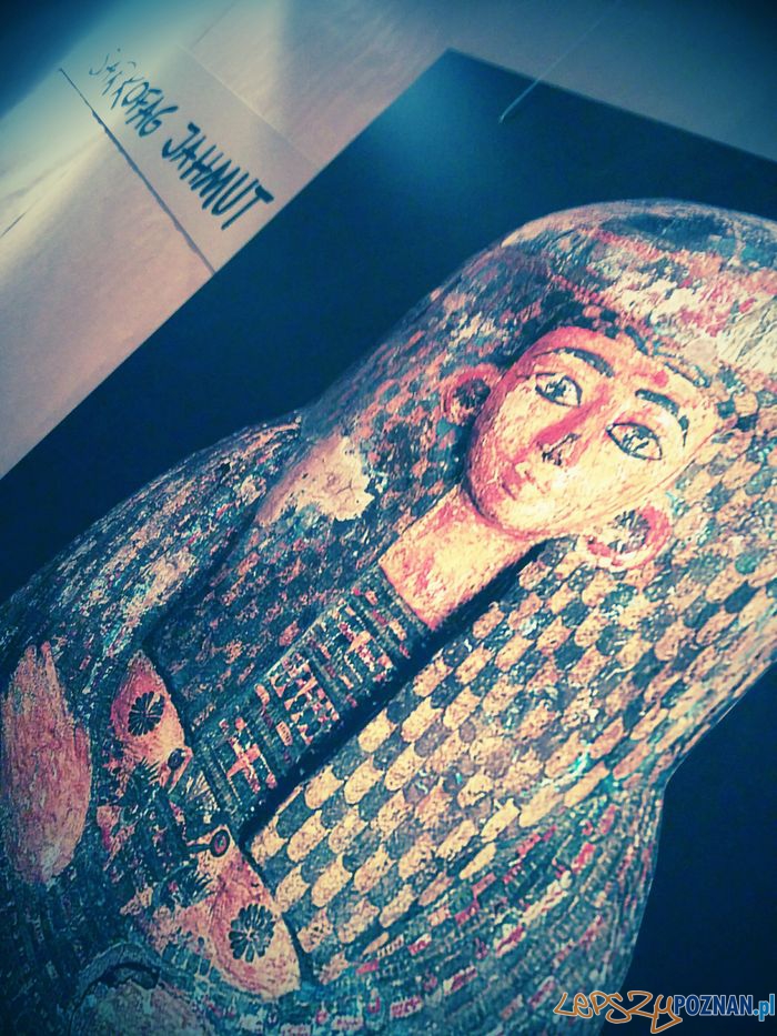 Wystawa w Muzeum Archeologiczym Foto: Wystawa w Muzeum Archeologiczym Foto: