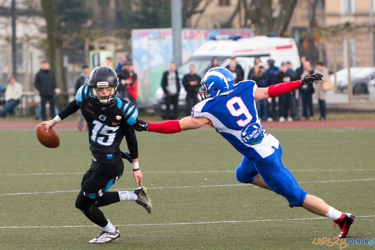 Kozły Poznań - Panthers Wrocław Foto: lepszyPOZNAN.pl / Piotr Rychter Kozły Poznań - Panthers Wrocław Foto: lepszyPOZNAN.pl / Piotr Rychter