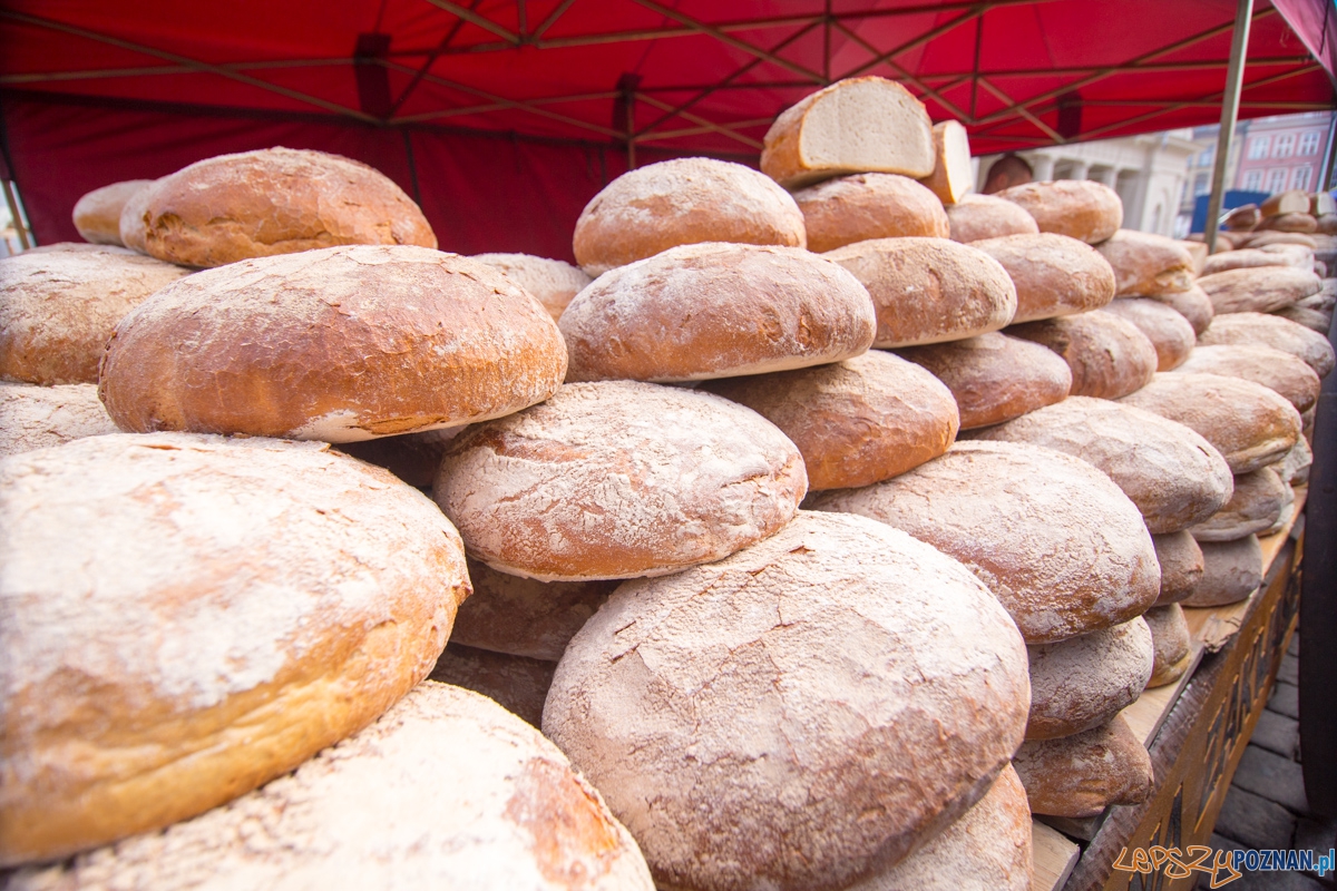 XXII Poznański Kaziuk Foto: lepszyPOZNAN.pl / Piotr Rychter XXII Poznański Kaziuk Foto: lepszyPOZNAN.pl / Piotr Rychter