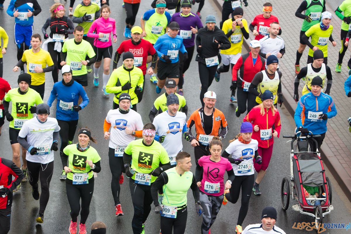XI Maniacka dziesiątka Foto: lepszyPOZNAN.pl / Piotr Rychter XI Maniacka dziesiątka Foto: lepszyPOZNAN.pl / Piotr Rychter