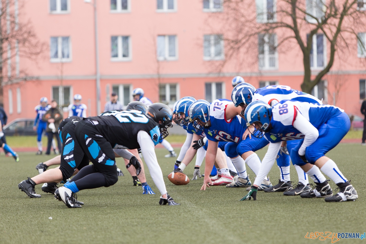 Kozły Poznań - Panthers Wrocław Foto: lepszyPOZNAN.pl / Piotr Rychter Kozły Poznań - Panthers Wrocław Foto: lepszyPOZNAN.pl / Piotr Rychter