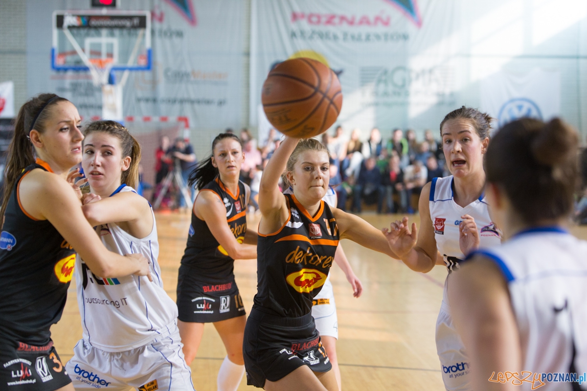 JTC Muks Poznań - Grot Dekorex Pabianice Foto: lepszyPOZNAN.pl / Piotr Rychter JTC Muks Poznań - Grot Dekorex Pabianice Foto: lepszyPOZNAN.pl / Piotr Rychter