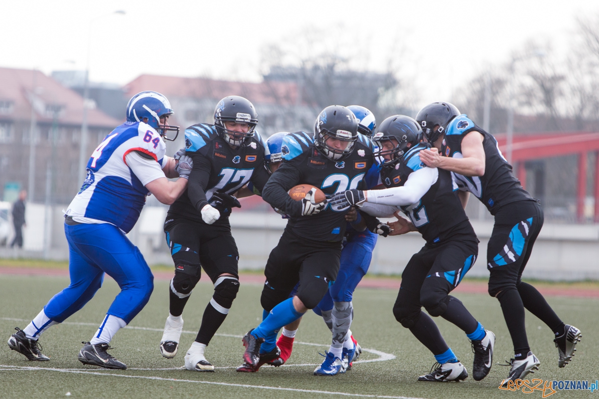 Kozły Poznań - Panthers Wrocław Foto: lepszyPOZNAN.pl / Piotr Rychter Kozły Poznań - Panthers Wrocław Foto: lepszyPOZNAN.pl / Piotr Rychter
