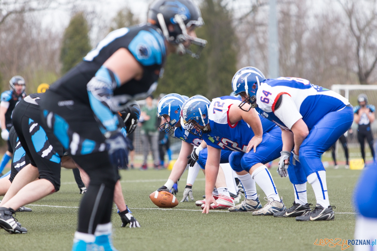 Kozły Poznań - Panthers Wrocław Foto: lepszyPOZNAN.pl / Piotr Rychter Kozły Poznań - Panthers Wrocław Foto: lepszyPOZNAN.pl / Piotr Rychter