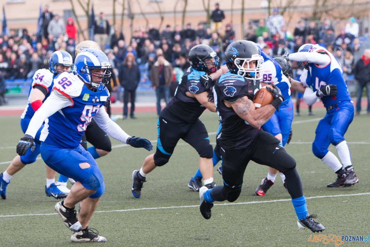 Kozły Poznań - Panthers Wrocław Foto: lepszyPOZNAN.pl / Piotr Rychter Kozły Poznań - Panthers Wrocław Foto: lepszyPOZNAN.pl / Piotr Rychter