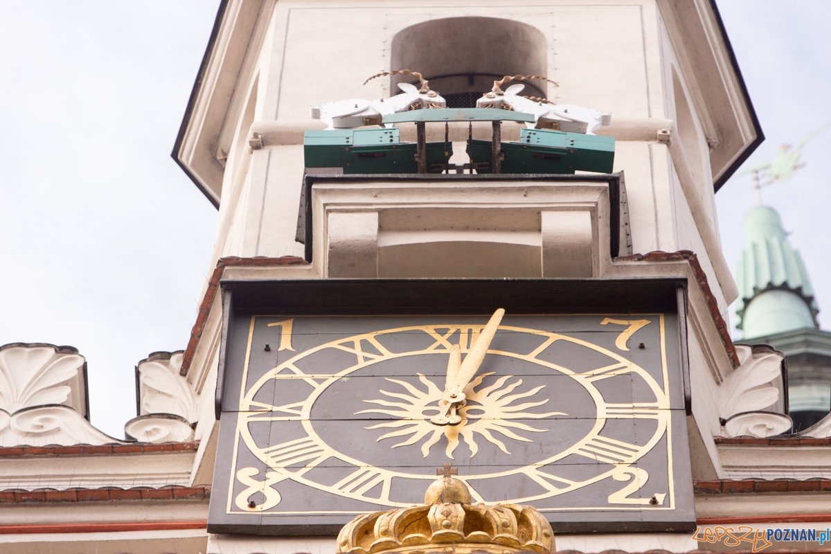 XXII Poznański Kaziuk Foto: lepszyPOZNAN.pl / Piotr Rychter XXII Poznański Kaziuk Foto: lepszyPOZNAN.pl / Piotr Rychter