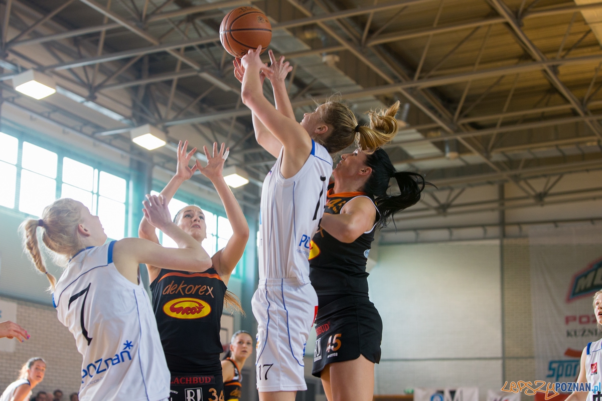 JTC Muks Poznań - Grot Dekorex Pabianice Foto: lepszyPOZNAN.pl / Piotr Rychter JTC Muks Poznań - Grot Dekorex Pabianice Foto: lepszyPOZNAN.pl / Piotr Rychter