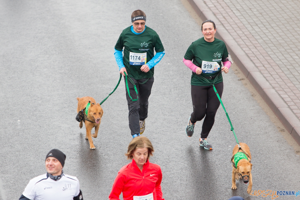 XI Maniacka dziesiątka Foto: lepszyPOZNAN.pl / Piotr Rychter XI Maniacka dziesiątka Foto: lepszyPOZNAN.pl / Piotr Rychter