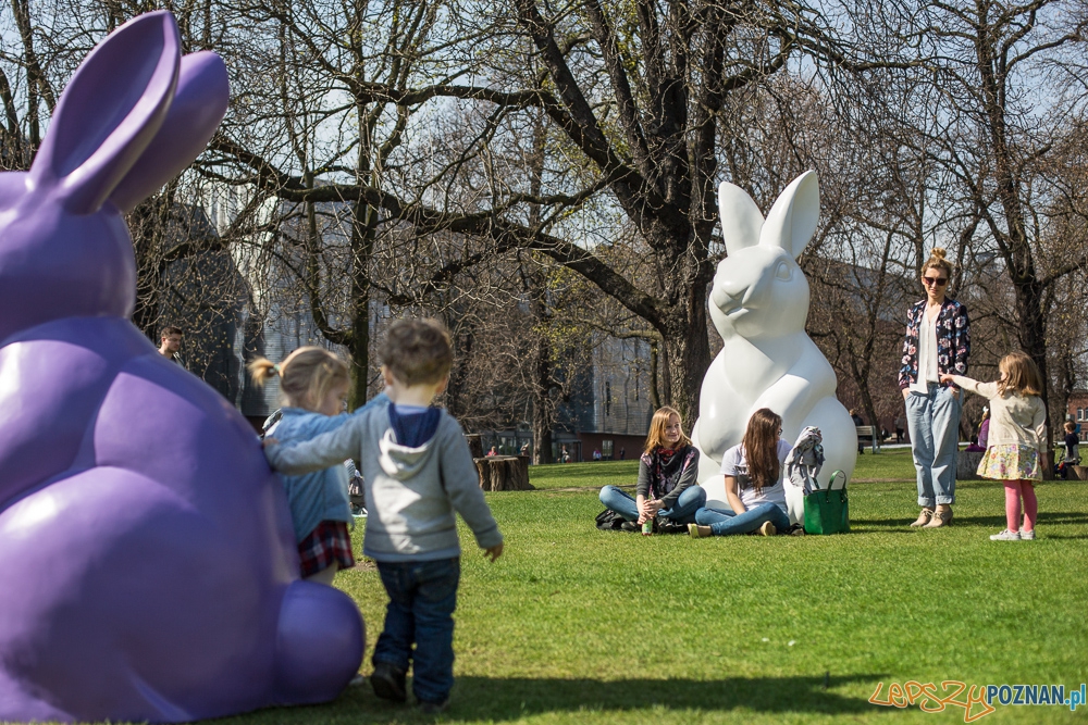 Zające Starego Browaru, fot. J. Wittchen - 1.jpg Foto: All rights reserved. Jakub Wittchen www.jakubwittchen.com Zające Starego Browaru, fot. J. Wittchen - 1.jpg Foto: All rights reserved. Jakub Wittchen www.jakubwittchen.com