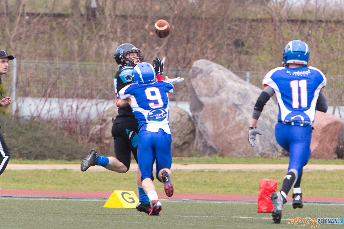 Kozły Poznań - Panthers Wrocław Foto: lepszyPOZNAN.pl / Piotr Rychter Kozły Poznań - Panthers Wrocław Foto: lepszyPOZNAN.pl / Piotr Rychter