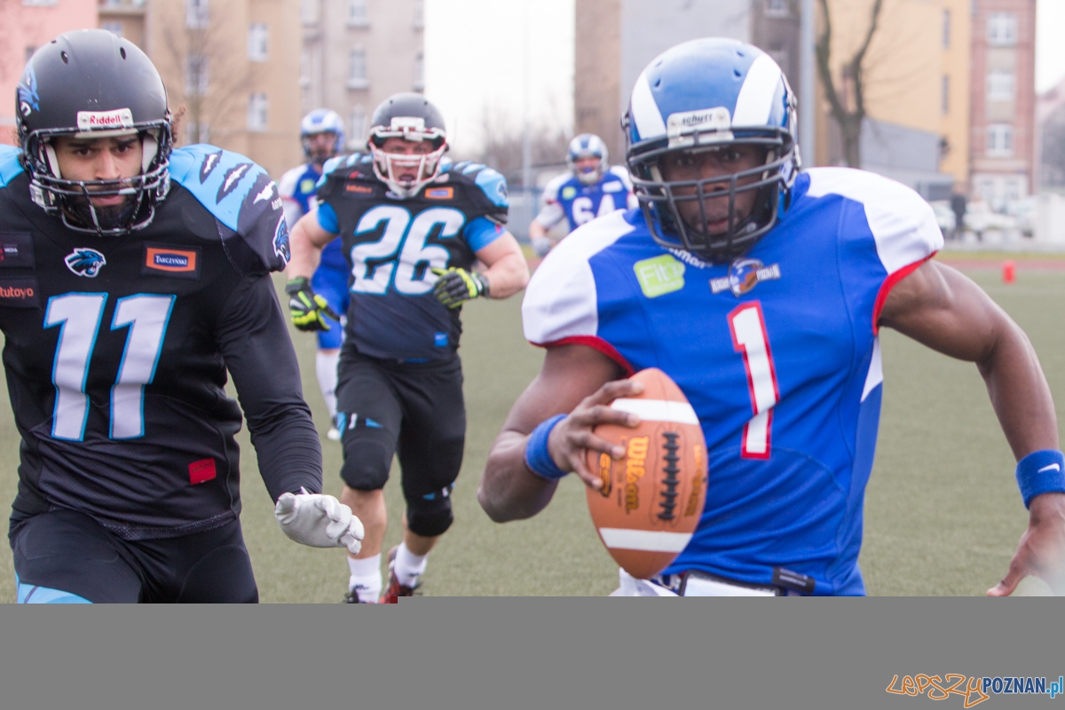 Kozły Poznań - Panthers Wrocław Foto: lepszyPOZNAN.pl / Piotr Rychter Kozły Poznań - Panthers Wrocław Foto: lepszyPOZNAN.pl / Piotr Rychter