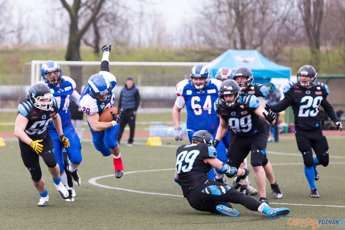 Kozły Poznań - Panthers Wrocław Foto: lepszyPOZNAN.pl / Piotr Rychter Kozły Poznań - Panthers Wrocław Foto: lepszyPOZNAN.pl / Piotr Rychter