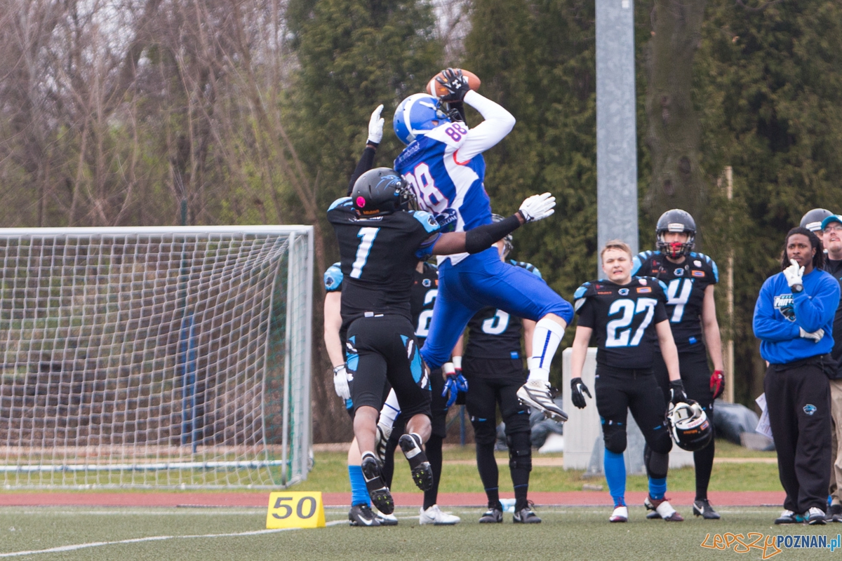 Kozły Poznań - Panthers Wrocław Foto: lepszyPOZNAN.pl / Piotr Rychter Kozły Poznań - Panthers Wrocław Foto: lepszyPOZNAN.pl / Piotr Rychter