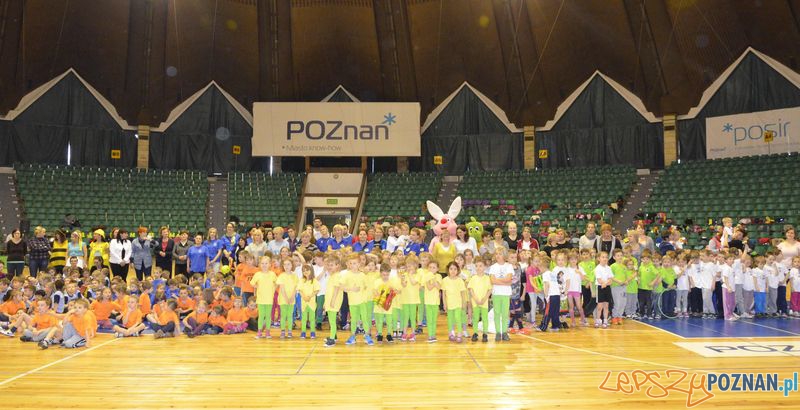 Sportowy Zajączek Foto: POSiR Sportowy Zajączek Foto: POSiR