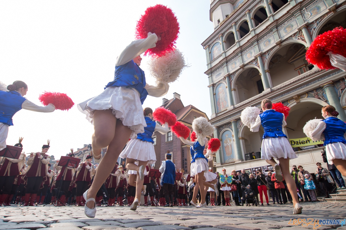 Dzień Motyli Foto: lepszyPOZNAN.pl / Piotr Rychter Dzień Motyli Foto: lepszyPOZNAN.pl / Piotr Rychter