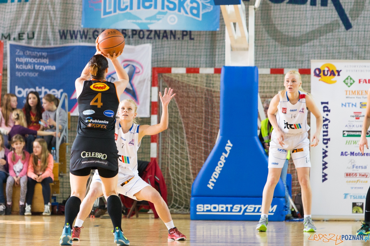 JTC Muks Poznań - Grot Dekorex Pabianice Foto: lepszyPOZNAN.pl / Piotr Rychter JTC Muks Poznań - Grot Dekorex Pabianice Foto: lepszyPOZNAN.pl / Piotr Rychter