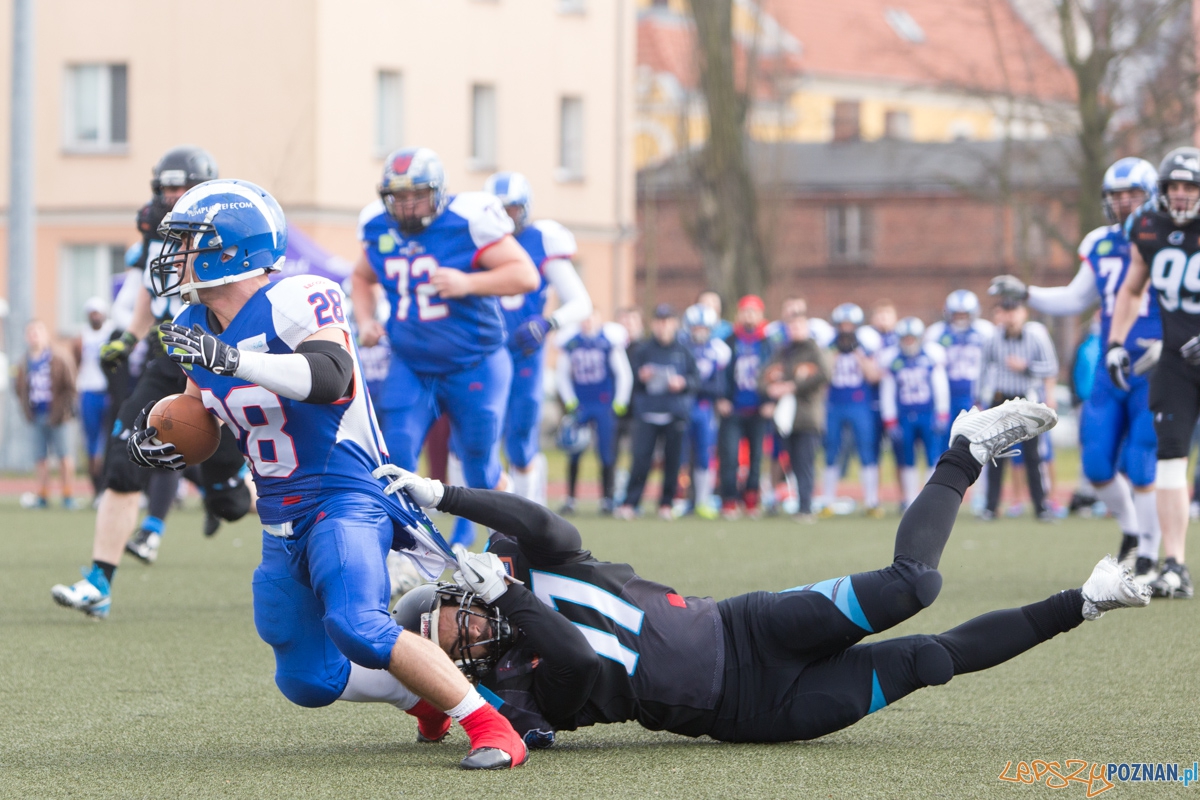 Kozły Poznań - Panthers Wrocław Foto: lepszyPOZNAN.pl / Piotr Rychter Kozły Poznań - Panthers Wrocław Foto: lepszyPOZNAN.pl / Piotr Rychter