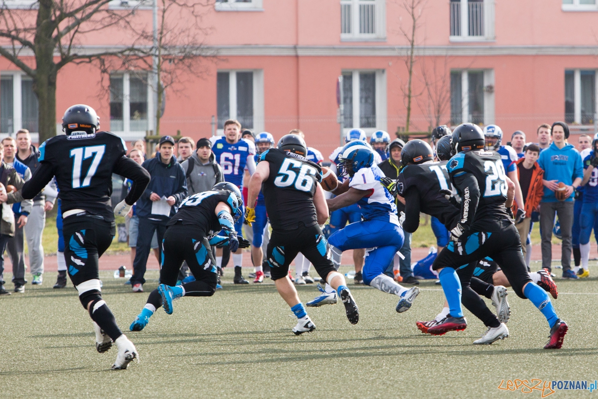 Kozły Poznań - Panthers Wrocław Foto: lepszyPOZNAN.pl / Piotr Rychter Kozły Poznań - Panthers Wrocław Foto: lepszyPOZNAN.pl / Piotr Rychter