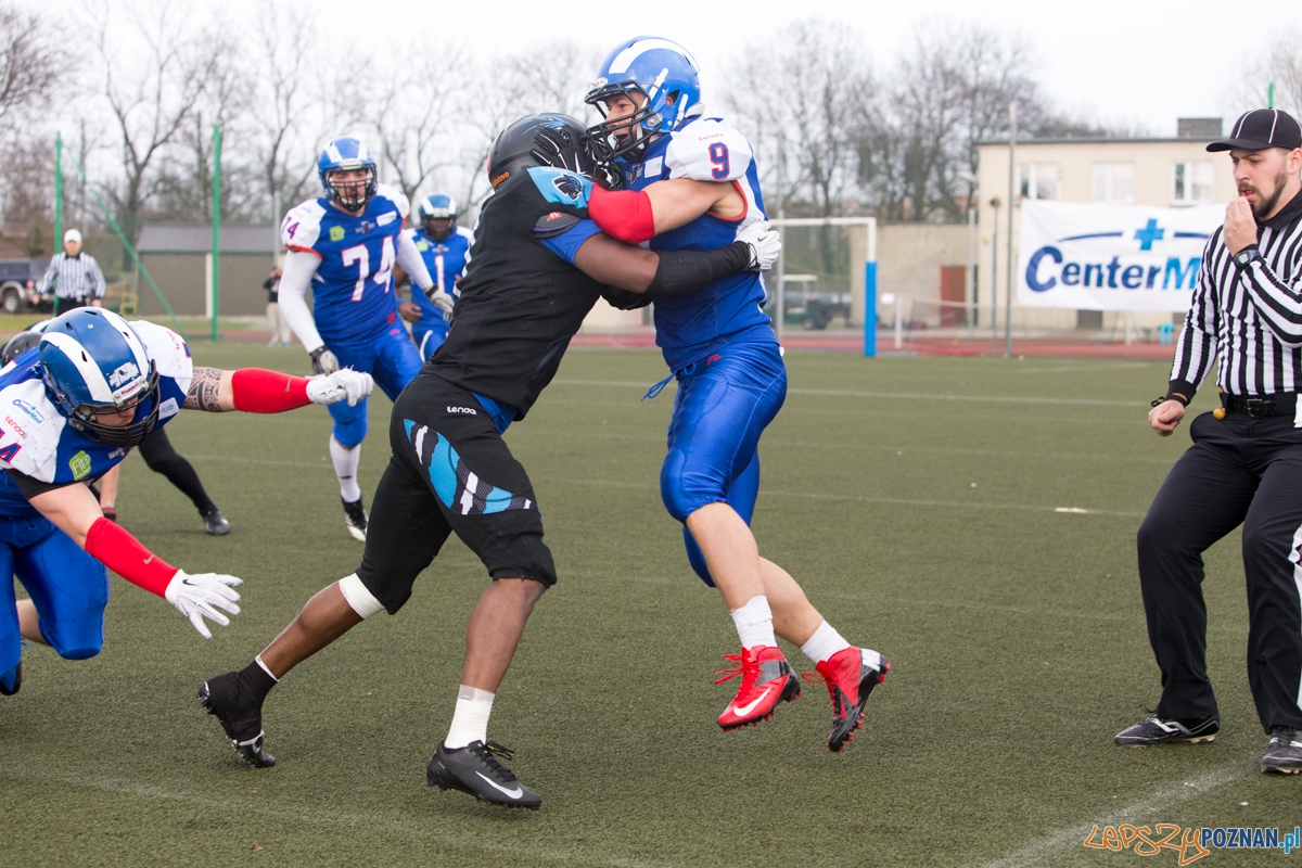 Kozły Poznań - Panthers Wrocław Foto: lepszyPOZNAN.pl / Piotr Rychter Kozły Poznań - Panthers Wrocław Foto: lepszyPOZNAN.pl / Piotr Rychter
