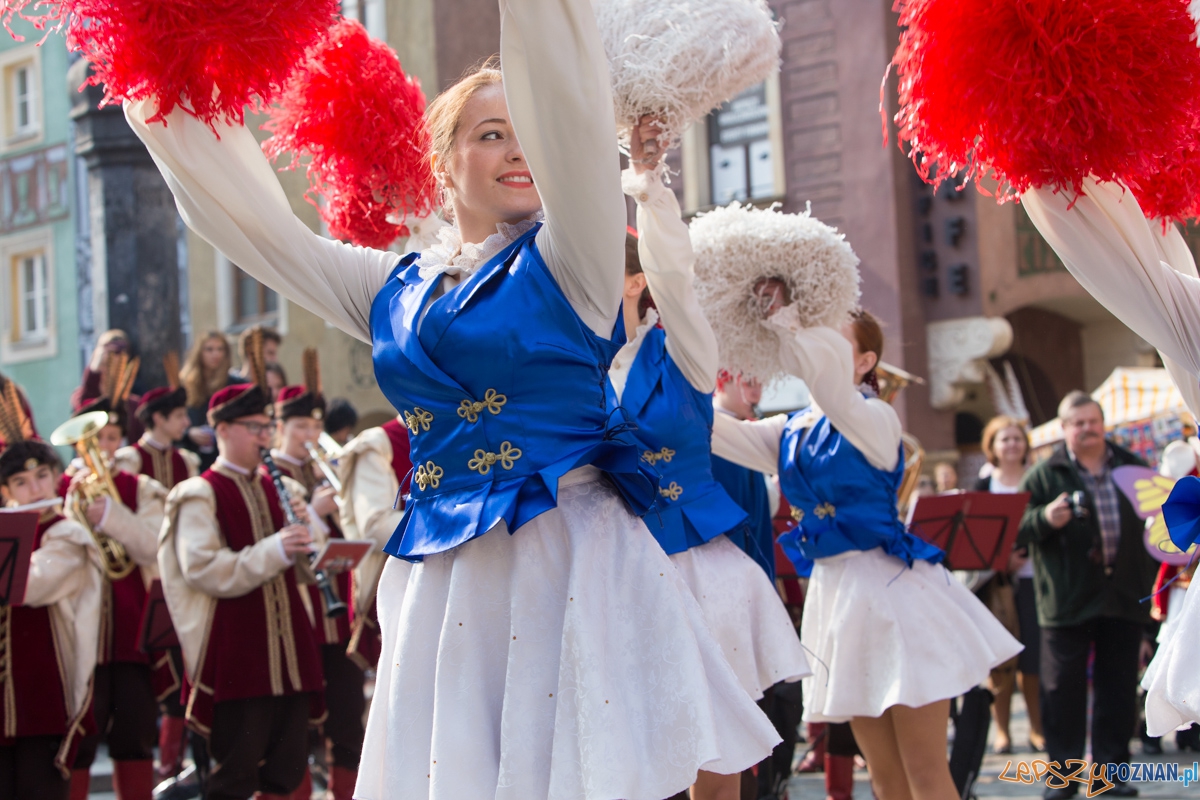 Dzień Motyli Foto: lepszyPOZNAN.pl / Piotr Rychter Dzień Motyli Foto: lepszyPOZNAN.pl / Piotr Rychter